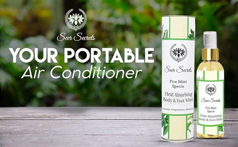 Seer Secrets Five Mint Body & Foot Mist Liquid Air Conditioner Suitable ...