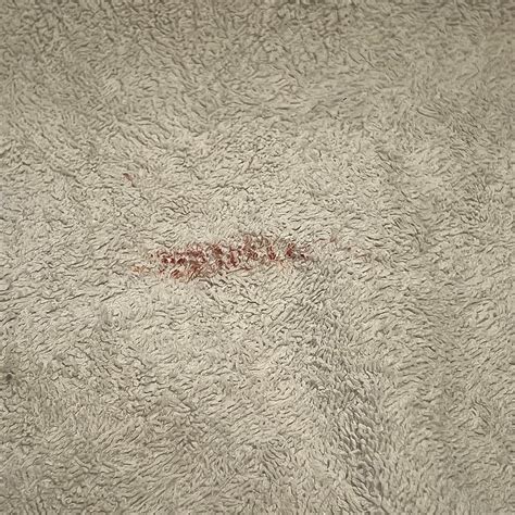 HOTEL LANCE INTERNATIONAL (Nagercoil, Tamil Nadu) - Hotel Reviews ...