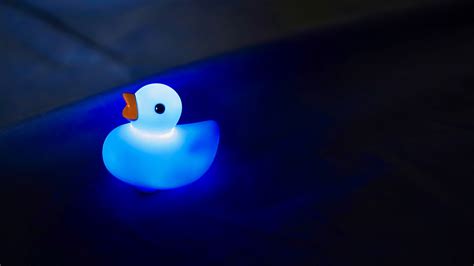 Download wallpaper 3840x2160 duck, glow, blue, dark 4k uhd 16:9 hd ...