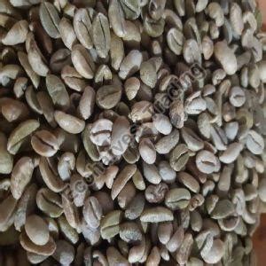 Aa Grade Robusta Parchment Washed Coffee Beans Exporter, Supplier from ...
