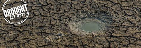 Drought but why: The agricultural wasteland that is Bihar
