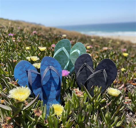 Buy TravelNut 3 Pack Mens Pool Beach Rubber Waterproof Flip Flops ...