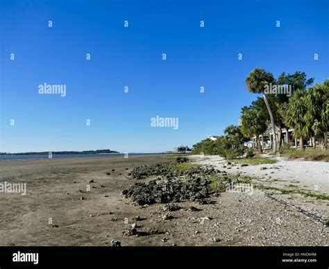 Low Tide at Cedar Key, Florida, USA Stock Photo - Alamy