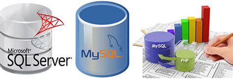 Image result for Database Development