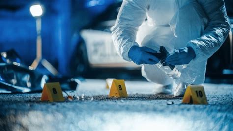 Image result for Forensics Parallel Search Pattern