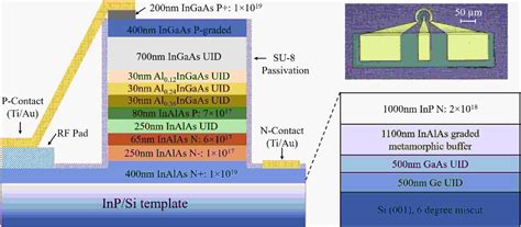 Infrared Photodiode Array at William Justice blog