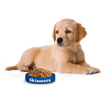 Dog Names: Popular Male and Female Dog Names