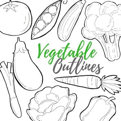 Vegetable Clipart Outline Hand Drawn Food Graphics Health - Etsy India