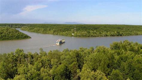 Excursión al bosque de manglares Vam Sat desde Ciudad Ho Chi Minh, Quận ...