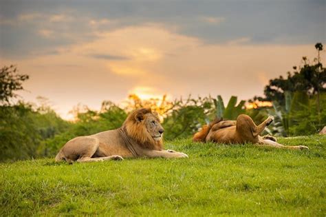 DESTINO CAFETER (2026) All You Need to Know BEFORE You Go (with Photos ...