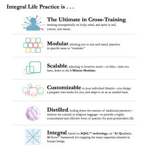 Image result for Integral Life Practice