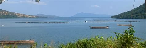 SMEC appointed to lead Lake Volta Master Plan, Ghana - SMEC