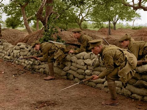 Image result for WW1 Trenches Color