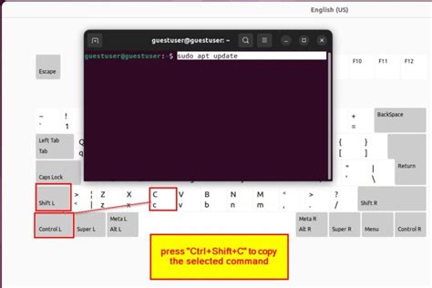 Image result for Copiable Linux Script