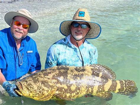 Boca Grande and Beyond - All You Need to Know BEFORE You Go