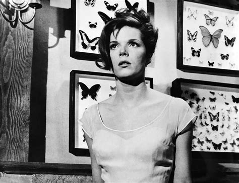 Samantha Eggar