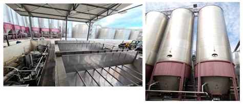 Experimental Tests in Production of Ready-to-Drink Primitive Wine with ...