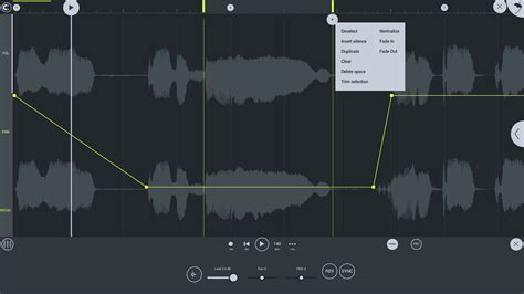 Image result for Audio Editor FL Studio