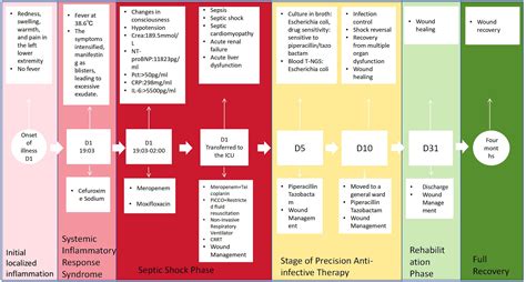 Frontiers | A case report on severe atypical bullous erysipelas induced by Escherichia coli in ...