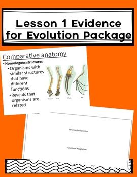 Image result for Evolution Lesson Videos