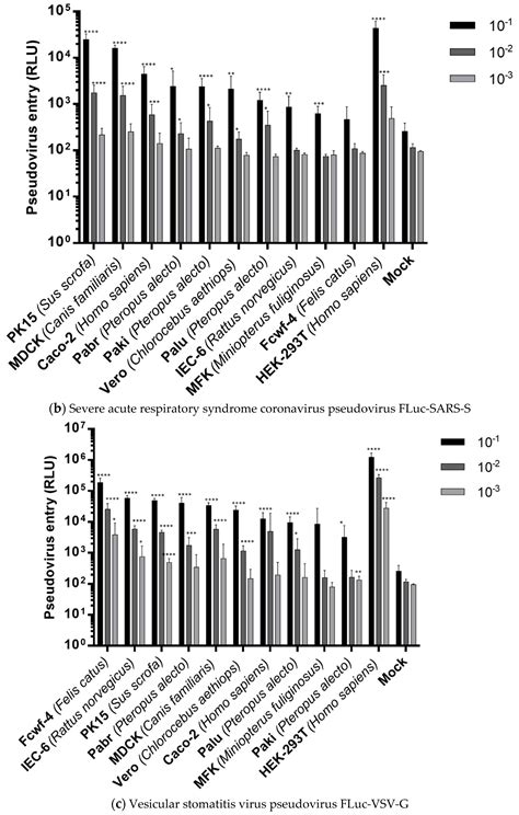 Entry of Scotophilus Bat Coronavirus-512 and Severe Acute Respiratory ...