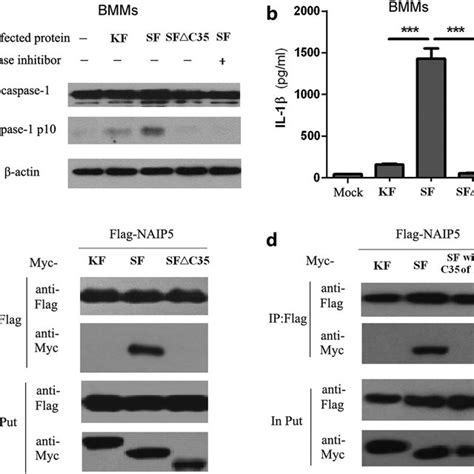 Image result for Slrp Connection
