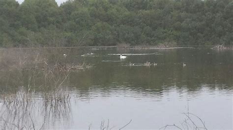 THORNE AND HATFIELD MOORS (2026) All You Need to Know BEFORE You Go ...