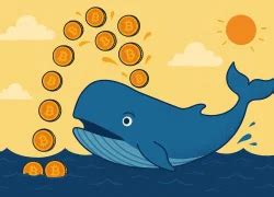 Bitcoin Whale Accumulation Surges as Institutions Keep Buying