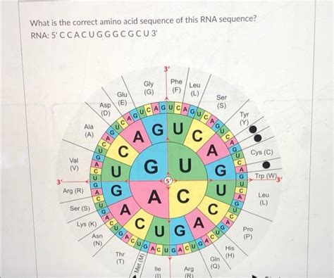 Image result for RNA Sequence Example