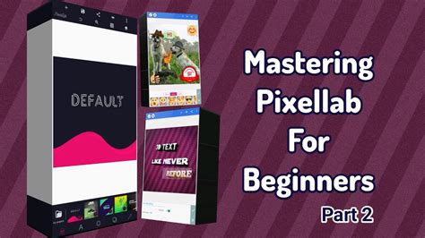 Image result for Pixelab Tutorial
