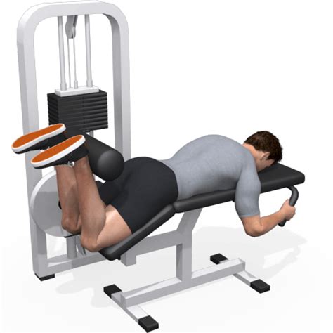 Leg Curl Machine Exercise 的图像结果