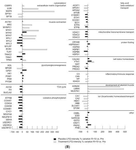 Nitrosative Redox Homeostasis and Antioxidant Response Defense in ...