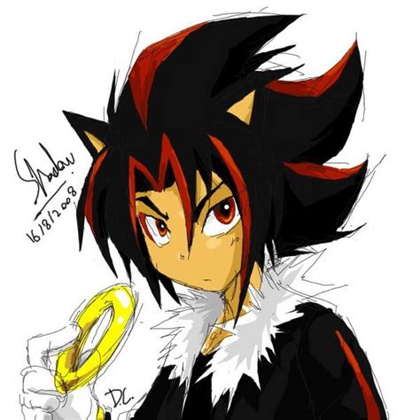 Shadow the Hedgehog Human Form | Shadow's Mission: World Protection! A ...