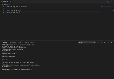 Node.js Tutorial Crash Course 的图像结果