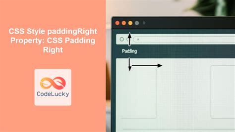Image result for Padding CSS Top Bottom Left Right