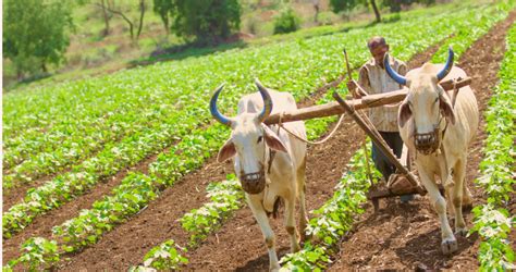 Image result for Farming Simulator 19 Mods.com