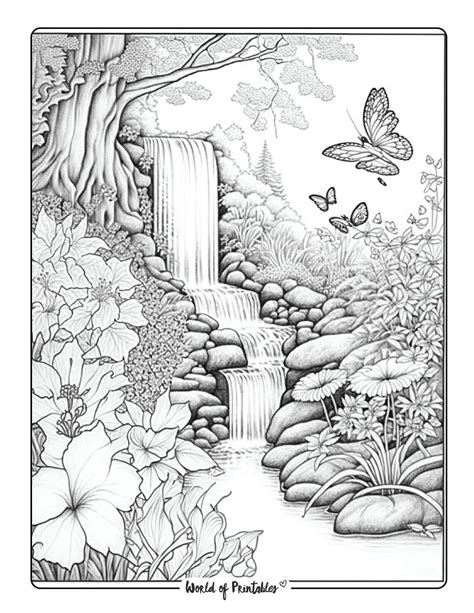Pin by Vaishali Chaudhari on nature | Coloring pages nature, Garden ...