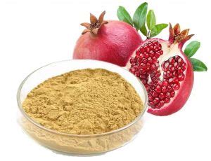 Venus Herbal and Healthcare Jaipur - Rhassoul Clay Powder Manufacturer ...