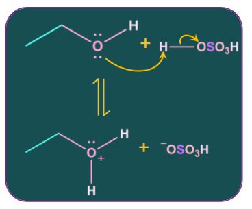 Classification of Ethers in Chemistry: Definition, Types and Importance ...