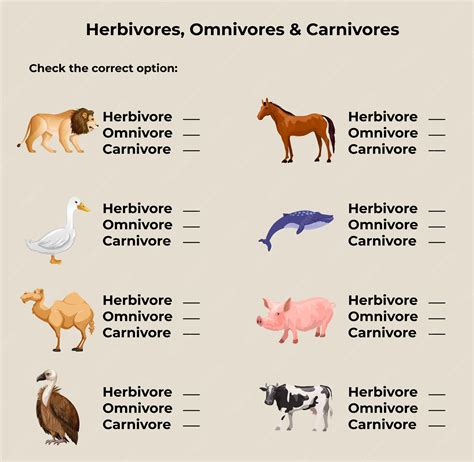 Premium Vector | Learning herbivore omnivore and carnivore