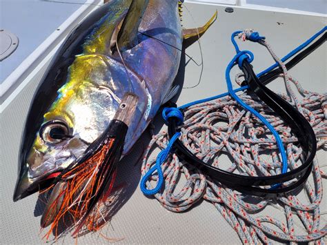 Hand Line Fishing