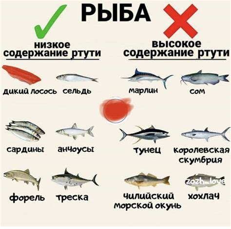Самая полезная рыба