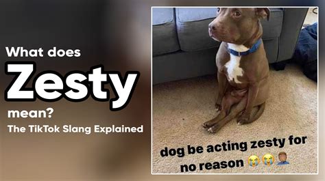 What Does Fly Boy Mean In Slang at Madeline Hardwicke blog