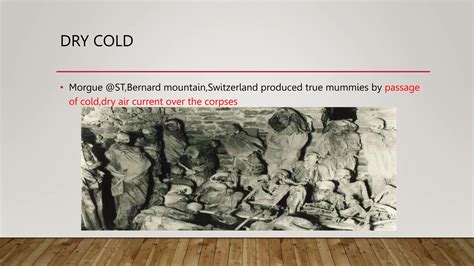 Image result for Embalming Explained