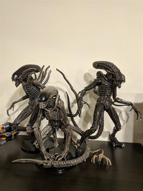 NECA xenomorphs RULE!! : r/LV426