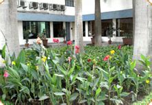 Home :: Csr :: Environment :: Waste Management