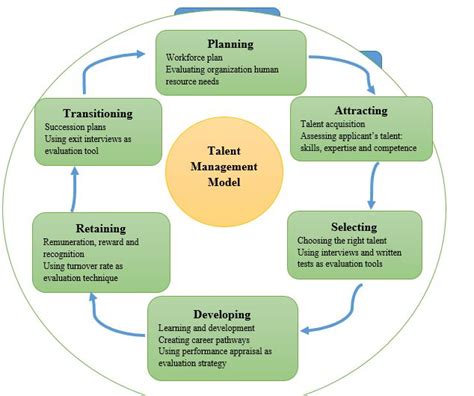 Image result for Talent Management Competency Model