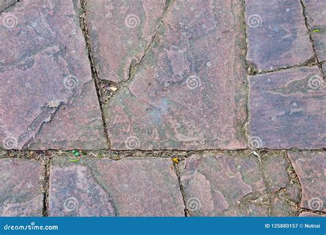 Stone Floor Texture and Background, Walkway in Garden Stock Image ...