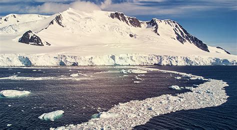 Image result for Ice Types Polar Code