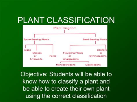Plant Classifications Explained 的图像结果